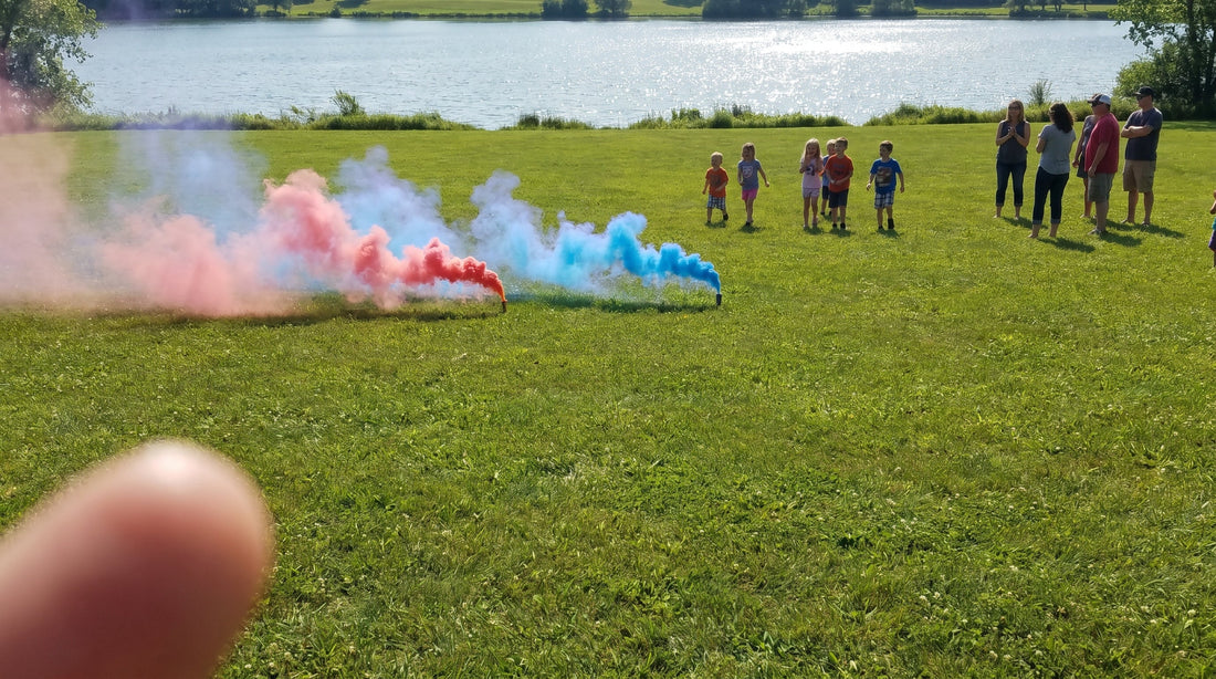 Pink and blue gender reveal smoke drifting across a grassy lakeside park on a sunny day