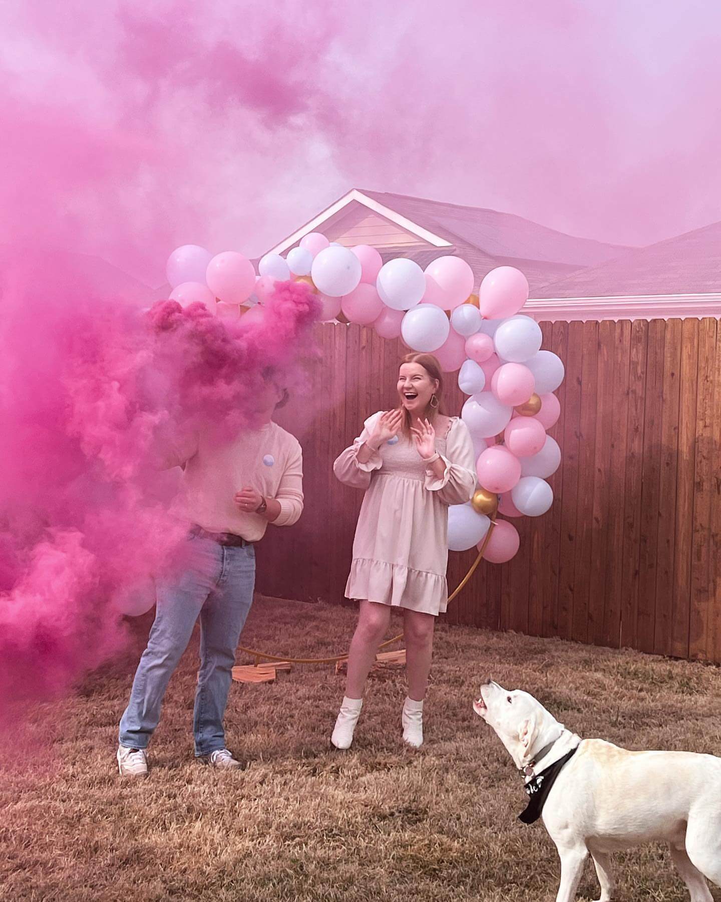 Pink Gender Reveal Smoke Bomb – It's a Girl WP40 90-Second Color Smoke